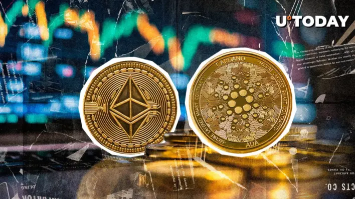 Ethereum and Cardano Lead Development Activity As Crypto Market Rebounds