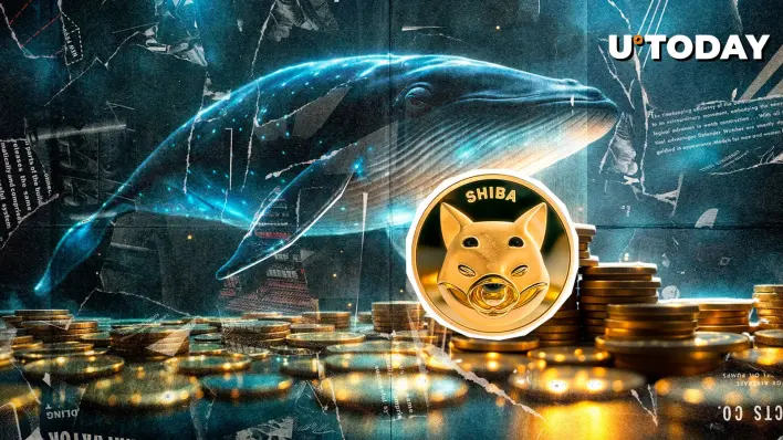 Shiba Inu Whale Inflows Explode 6,306% to 6-Month High, What’s Happening?