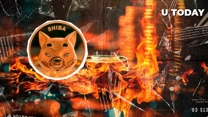 SHIB Burns Skyrocket 5,404.56% - What's Happening?