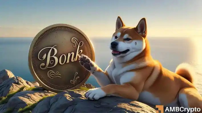 Burns, adoption, and how BONK’s price might hit new price levels soon