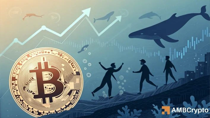 Bitcoin – Examining if BTC could rally +20% before bears step in