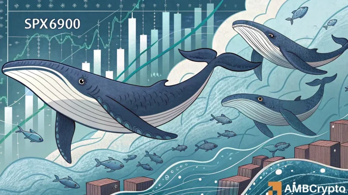SPX rallies on 935K whale buys, but is the market top already here?