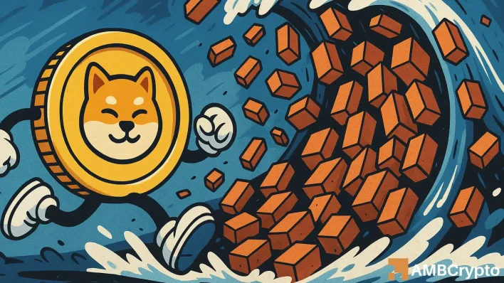 BONK racks up $33 mln in buys – But THIS might kill the buzz!