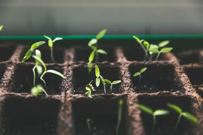 Top 11 staking platforms of July 2025
