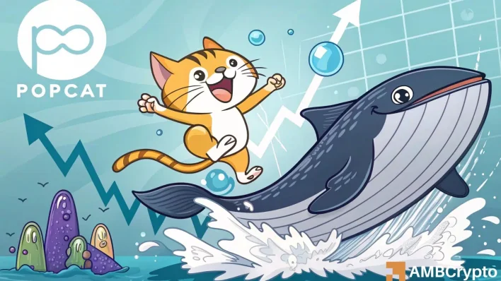 Popcat’s $100 mln volume spike and whale buy-up: Is $0.45 near?