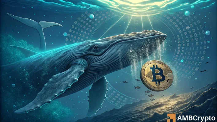 Bitcoin – $8.69B in BTC moved: Why is this whale action raising questions?