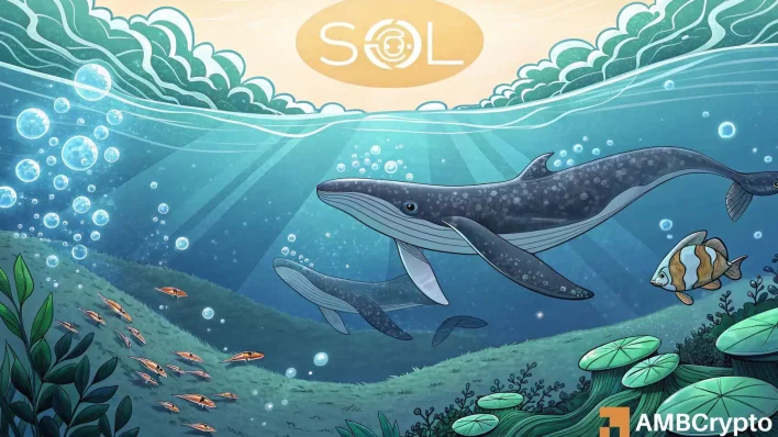 Solana’s price eyes $200 after whale buys SOL worth $12M