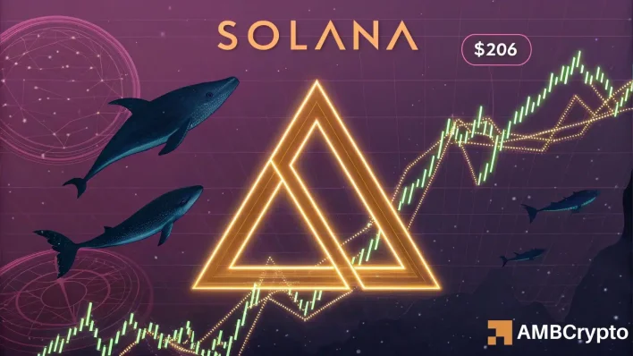 Solana builds momentum from key support: Is $206 within reach?