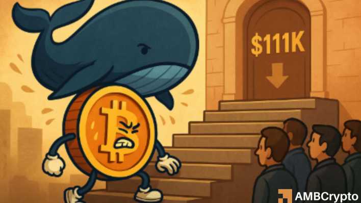 Bitcoin: Despite $11B ETF inflows, BTC stalls below $110K – Reasons?