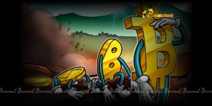 Bitcoin Rally: Unveiling the Next Explosive Phase