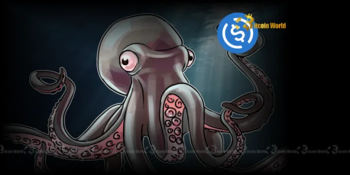 USDC Transfer: Unveiling the Mystery Behind a Massive $302M Kraken Movement