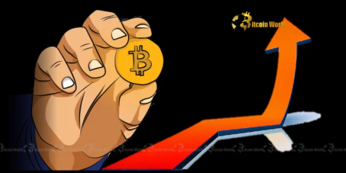Bitcoin: Unwavering Accumulation by Long-Term Holders Amidst Market Swings
