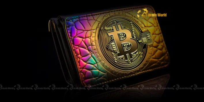 OpenSea Revolutionizes Mobile Trading with Rally Wallet Acquisition