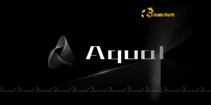 Aqua1 Foundation Unveils Truth Amidst Web3Port Rumors