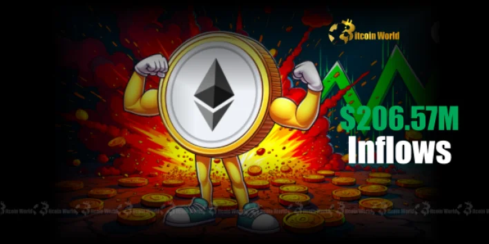 US Spot Ethereum ETFs Witness Monumental $206.57M Inflows, Fueling Market Growth