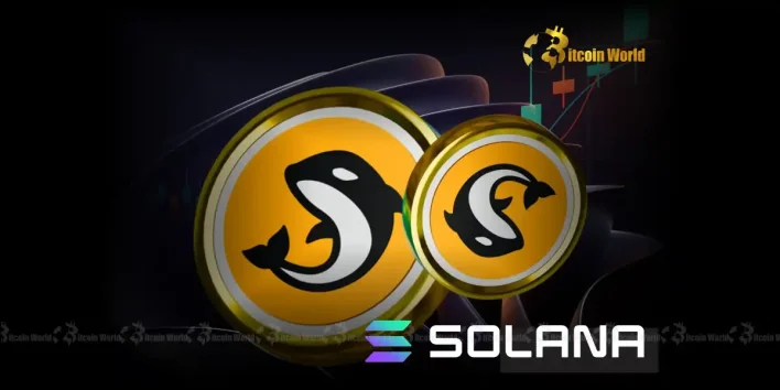 Orca Unleashes Revolutionary Token Launchpad on Solana for Fair DeFi