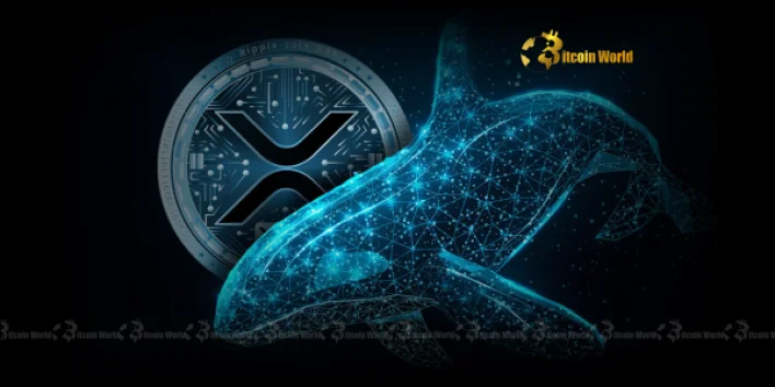 XRP Whales Fuel Massive Confidence Surge as Balances Rise