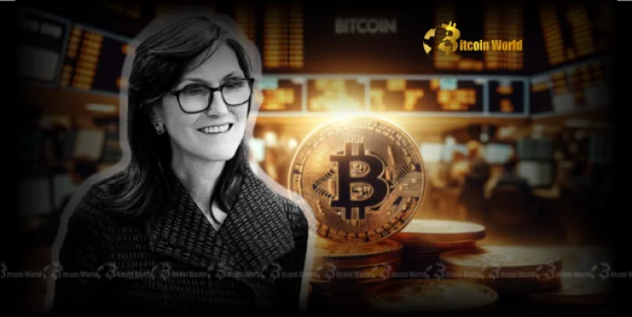 Bitcoin ETF: ARK Invest’s Strategic Sale Unveils Crucial Market Insights