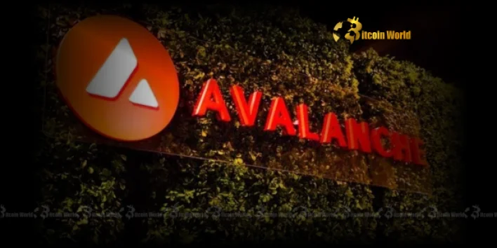 Avalanche Revolutionizes Institutional Crypto Payments: Lynq’s Landmark Transaction