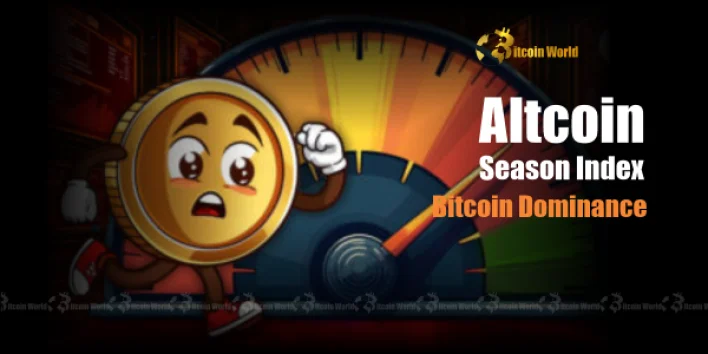 Altcoin Season: Decoding the Bitcoin Market’s Dominant Shift