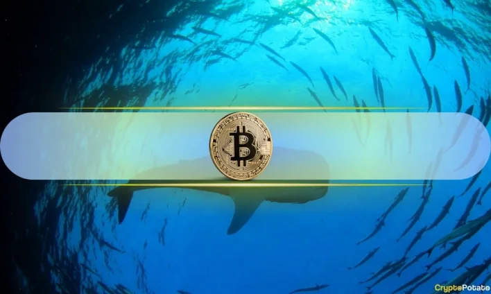 Whales Move Big: Binance Sees 4,500 BTC Withdrawn and $400M Stablecoin Inflows