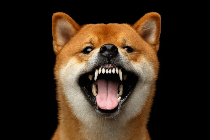 Dogecoin Replicates Bullish Wave From Nov. 2024 — Why Price Can Rocket Above $1