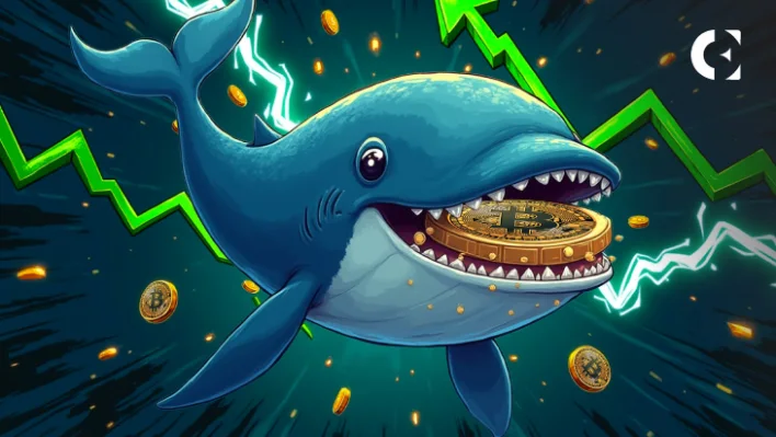 Bitcoin (BTC) Price Still Has a Long Way to Go, According to Historical Whale Activity