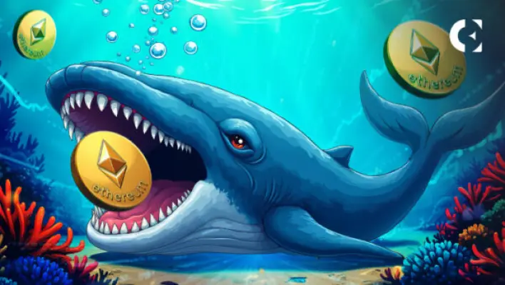 Cumberland Wallet Adds 3,263 ETH as Ethereum Holds Above $3,500