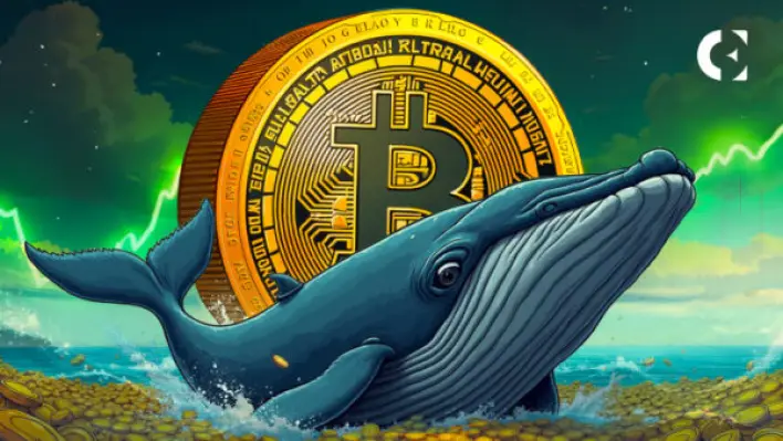 Bitcoin Whales Move $1B in BTC in Hours After Dormant Investor Wakes Up to 3,176,464% ROI