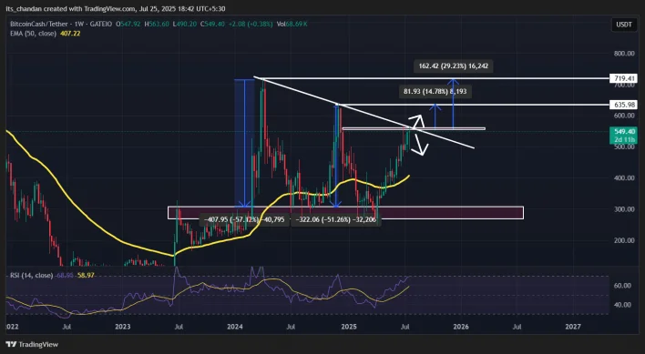 Bitcoin Cash Shows Renewed Momentum as Trendline Test and Whale Activity Suggest Possible Upside Potential