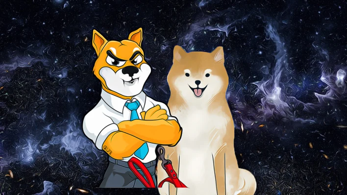 Shiba Inu Faces Surging Address Outflows: What Lies Ahead?