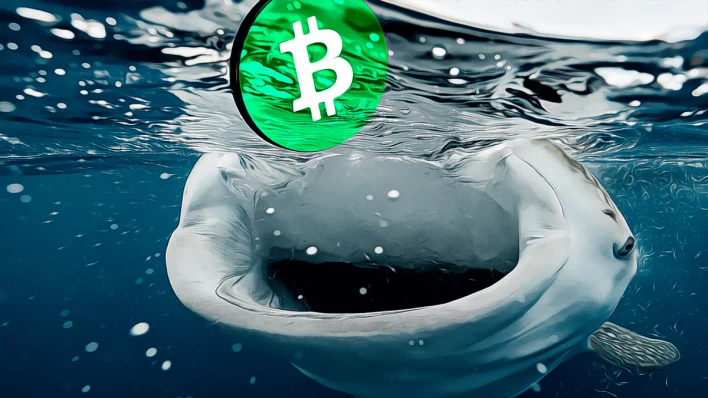 Bitcoin’s Supply Surge Signals New Selling Wave