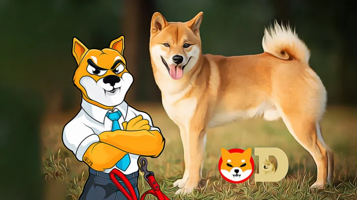 Shiba Inu Community Demands Leadership Shift Before Elections