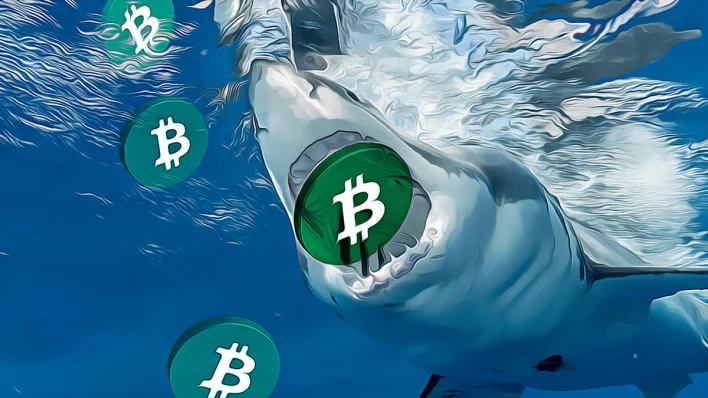 Justice Department Imposes Severe Sanctions on Crypto Founder