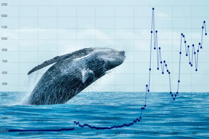 Whales Scoop 280M XRP in 10 Days as Wellgistics Taps XRPL