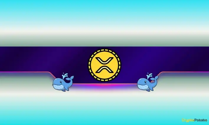 Massive Ripple Whale Accumulation Fuels XRP Surge Toward New ATHs