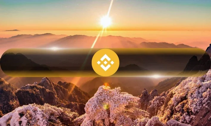 Binance Coin (BNB) Hits $800 in New All-Time High