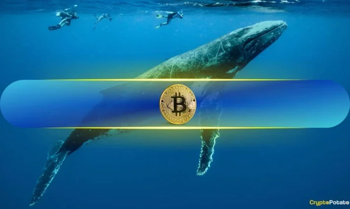 Bitcoin (BTC) Whales Break Silence: Is a Mid-Cycle Pivot Imminent?