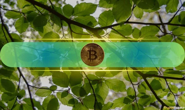 Bitcoin Tapped $112,000: Dormant Whales Stir, Retail Nowhere to Be Found