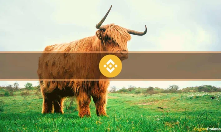 CEA Industries Secures $160M BNB Position Through Treasury Arm