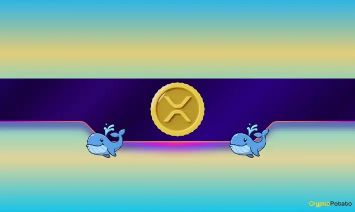 $700M Worth of XRP Just Moved: Should You Be Worried?