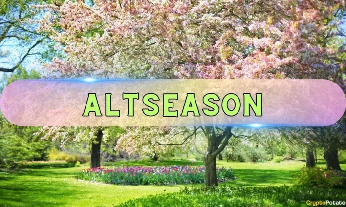 Altseason in Full Swing? These CryptoQuant Charts Point to Yes