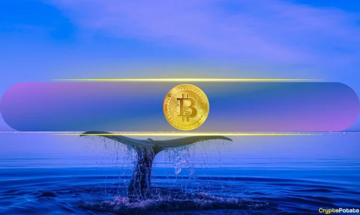 Market U-Turn Leaves Crypto Gambler $334M Poorer in 3-Hour Crash