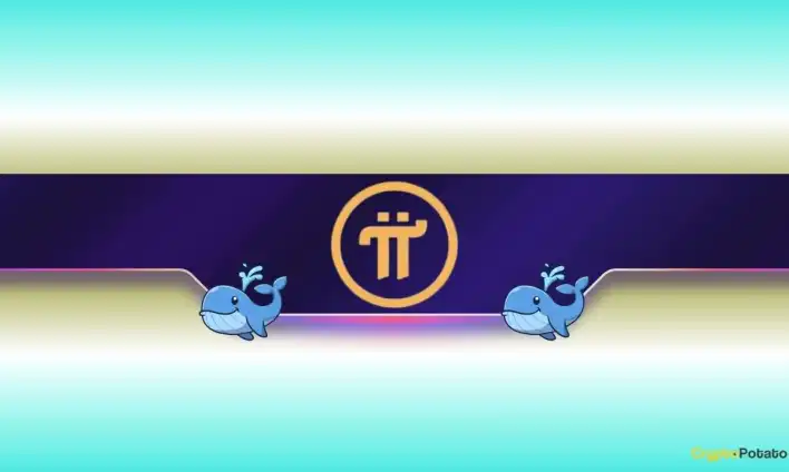 Pi Network’s Price Plummets by 20% Weekly, but This Mysterious Whale Keeps Buying Pi: Details