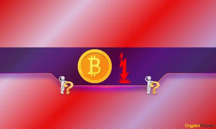 BTC Gains Near Climax? Peter Brandt Sounds the Alarm