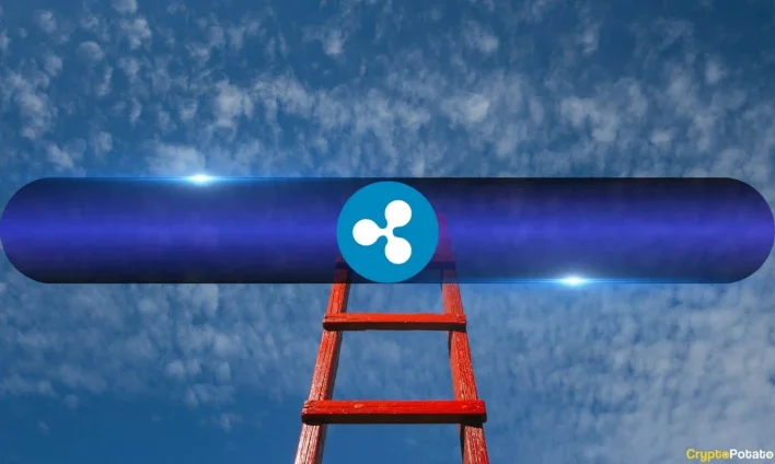 XRP Prices Hit 7-Week Peak as This Crucial Metric Suggests Further Gains