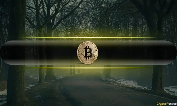 Retail Dumps Bitcoin (BTC), Whales Go Heavy on Ethereum (ETH)