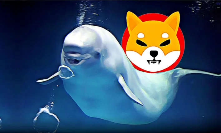 Single Whale Controls 41% of Shiba Inu Supply, Raising Centralization Concerns