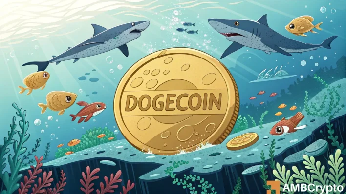Dogecoin – Here’s what’s in store for memecoin after Bitcoin’s latest price bounce