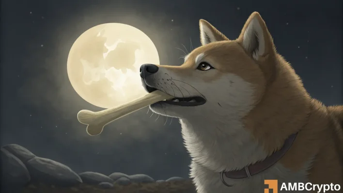 Dogecoin’s road to slow recovery – Here’s why investors should be ready for volatility!